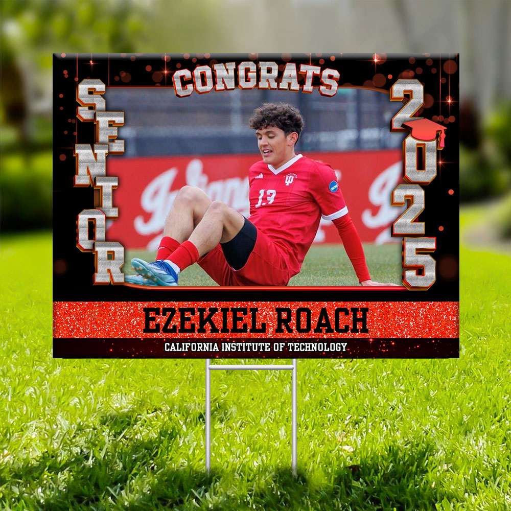 Senior 2025 Lawn Sign, Graduation Gift - Personalized Graduation Lawn Sign With Stake